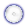 Flos Button Ceiling and Wall Light White in Blue