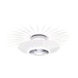 Flos Moni LED Ceiling Fixture Reflected and Diffused Light  in Large
