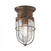 Garden Outdoor Ceiling Light