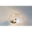 Innermost Asteroid Table Lamp in Clear Glass
