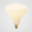 Tala Noma 2700K LED Bulb - Clearance