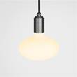 Tala Oval 2700K LED Bulb with Pendant in Graphite