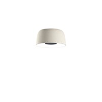 C 42.21 Medium LED Ceiling Surface