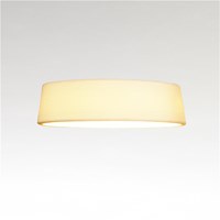 C 38 Small LED Ceiling Light