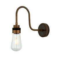 Swan Neck Wall Light