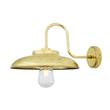 Mullan Lighting Darya Clear Glass Swan Neck Wall Light IP65 in Polished Brass