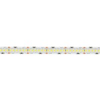 Strip 5m Reel 2700K 19.2W 24V