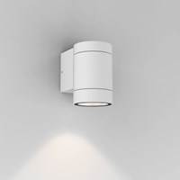 Dartmouth Single Exterior Wall Light