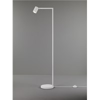 Ascoli LED Floor Lamp