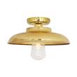 Mullan Lighting Darya Clear Glass Ceiling Light IP65 in Polished Brass