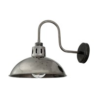 Talise Clear Glass Swan Neck Wall Light IP65