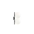 Flos IC C/W1 Double Wall or Ceiling Light in Black