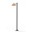 Roger Pradier Faktory Model 5 Large Single Arm Clear Glass Lamp Post with Industrial Style Shade in Copper